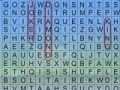 게임 Word Search