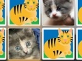 게임 Match a Pretty Kitty