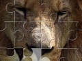 게임 Lion Jigsaw