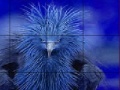 게임 Timid blue bird slide puzzle