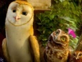 게임 Legend of the Guardians Spot the Difference