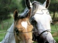 게임 Puzzle Horses