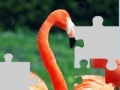게임 Flamingo puzzle