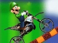 게임 Luigi Stunts