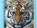 게임 Tiger and Cubs Jigsaw