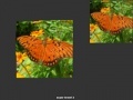 게임 Orange Butterfly