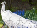 게임 Beautiful peacock puzzle