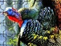 게임 Colorful turkey in the forest puzzle