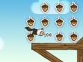 게임 Crazy Go Nuts