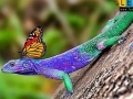 게임 Lizard and butterflies puzzle