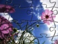 게임 Puzzle Flowers -1