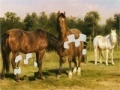 게임 Horses Grazing Jigsaw