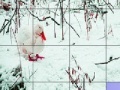 게임 Red billed duck slide puzzle
