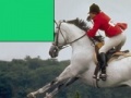 게임 Horse Jumping Jigsaw