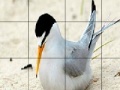 게임 Orange beak bird slide puzzle
