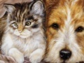 게임 Cat & Dog