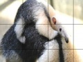 게임 Two aardvark slide puzzle