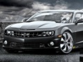 게임 Camaro SS Black Cat