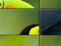 게임 Tucan Slider Puzzle