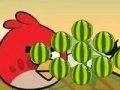 게임 Angry Birds - cut the rope