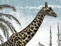 게임 Giraffe Jigsaw Puzzle
