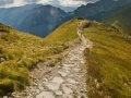 게임 On The Trail