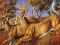 게임 Runner deers slide puzzle