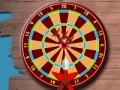 게임 Crazy Dart