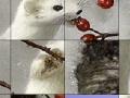 게임 White animal and rosehip slide puzzle
