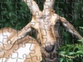 게임 Happy Goat Jigsaw