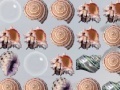 게임 Bubble Shells