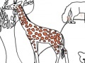 게임 Zoo life coloring