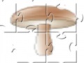 게임 Champignon Jigsaw