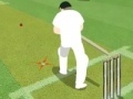 게임 Cricket Championship