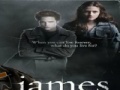 게임 Twilight-James Jigsaw