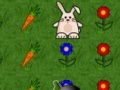 게임 Bunny Run