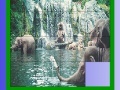 게임 Elephants in the sea slide puzzle