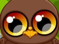 게임 Cute owl