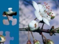 게임 White Flower Jigsaw