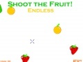 게임 Xtreme Fruit Shoot 2!