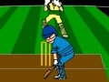 게임 Virtual Cricket