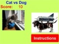 게임 Cat vs Dog!