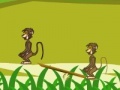 게임 Baboon Duel