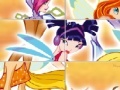 게임 WinX Sliding Puzzle