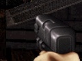 게임 Duke Nukem: FPS