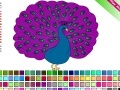 게임 Peacock Coloring