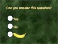 게임 Monkey Quiz