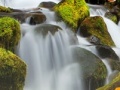 게임 Forest Waterfalls