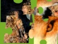 게임 Jigsaws:Wild Animals 2