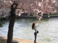 게임 Crystal Hunter Cherry Blossoms